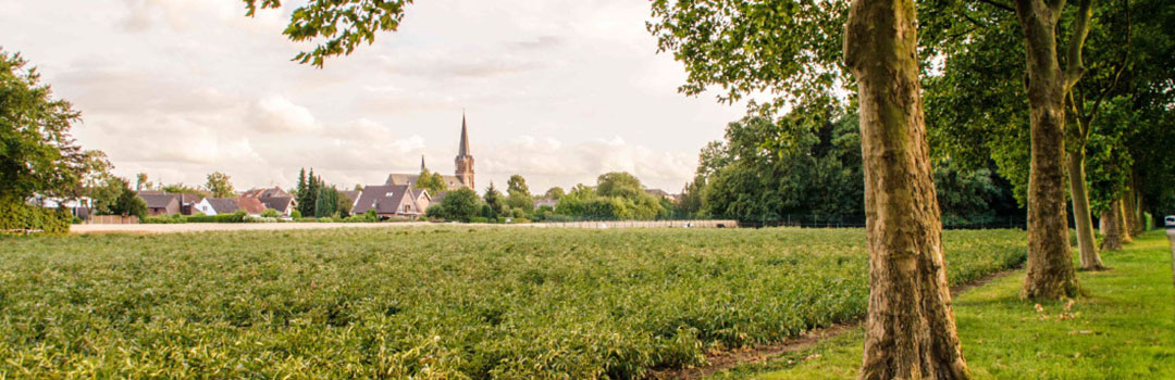 Glehn_Kirche_vom_Feld