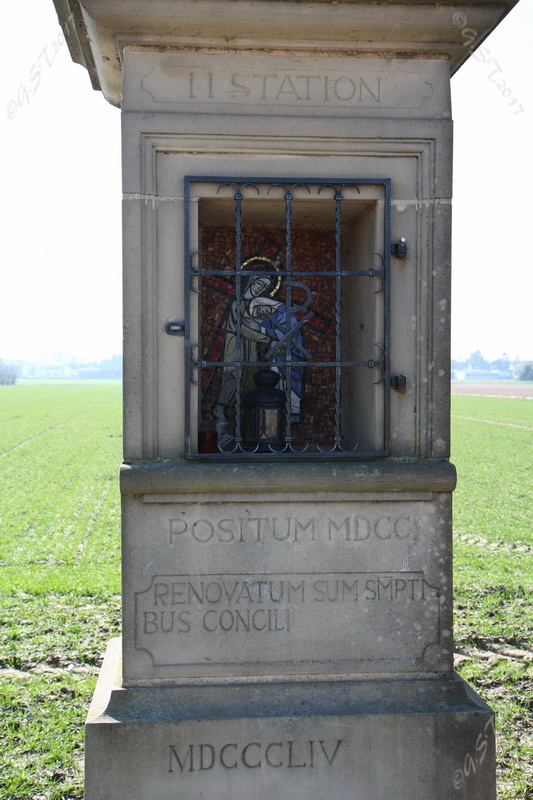 Mosaik im Rechteckausschnitt